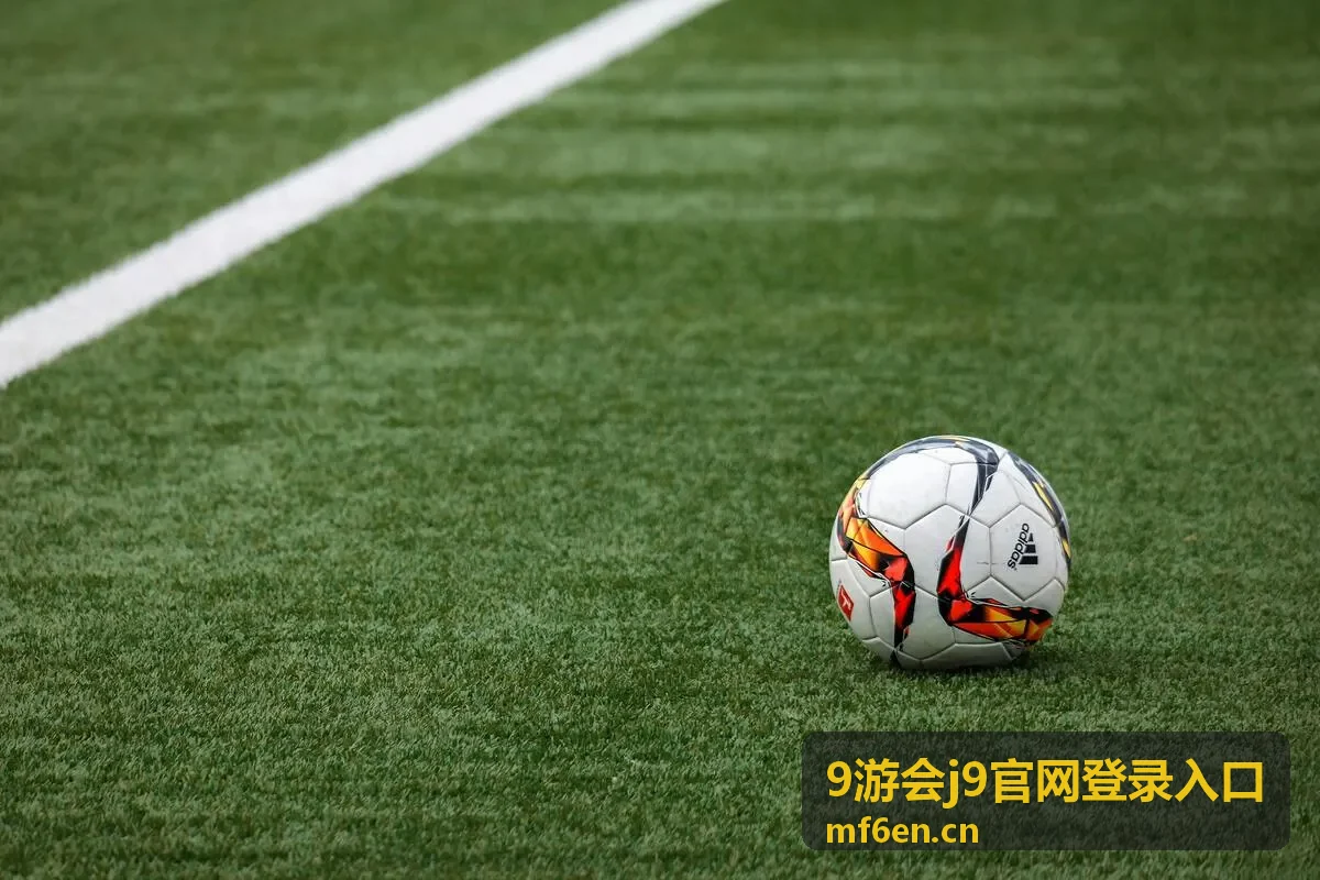 9游会j9官网登录入口账号密码登录步骤核对说明配图