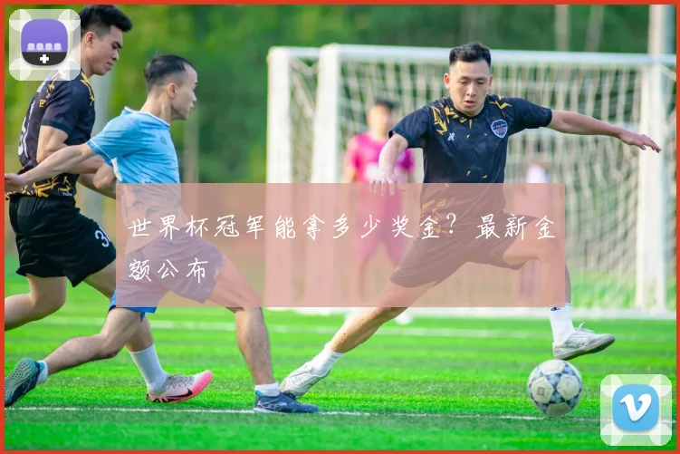 世界杯冠军能拿多少奖金？最新金额公布