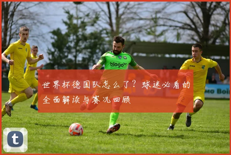 世界杯德国队怎么了？球迷必看的全面解读与赛况回顾