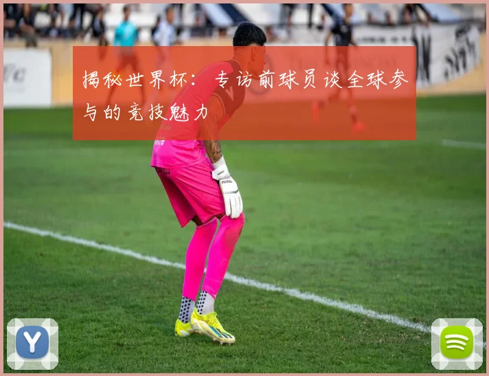 揭秘世界杯:专访前球员谈全球参与的竞技魅力