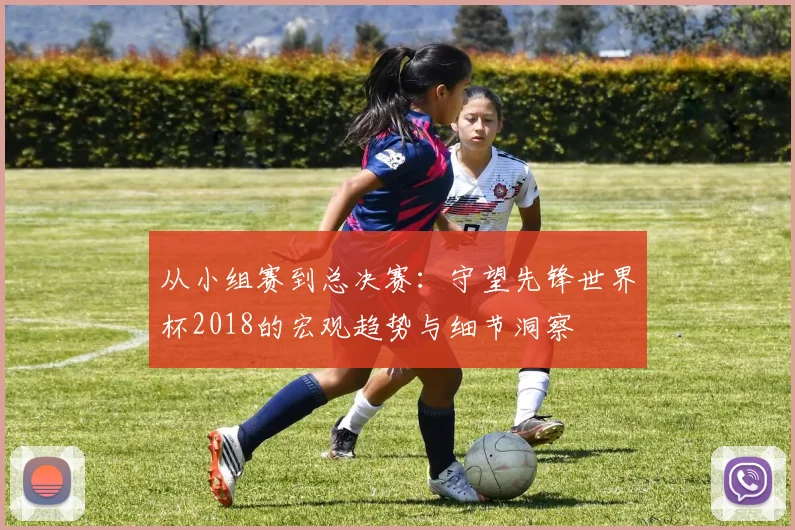 从小组赛到总决赛：守望先锋世界杯2018的宏观趋势与细节洞察