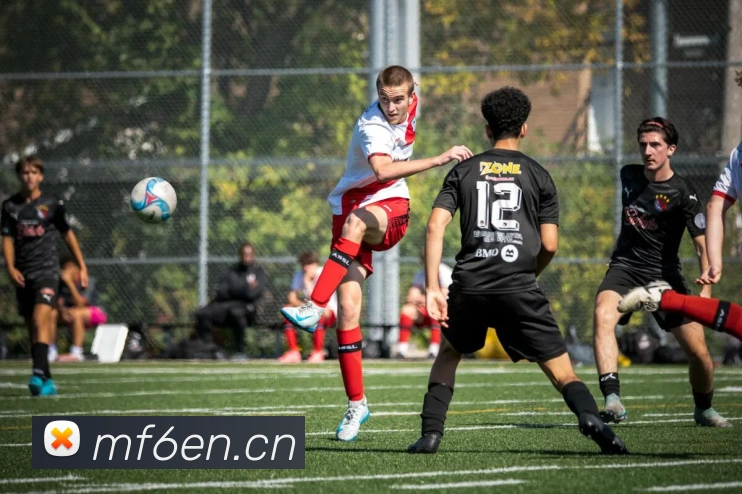 App Interface Preview